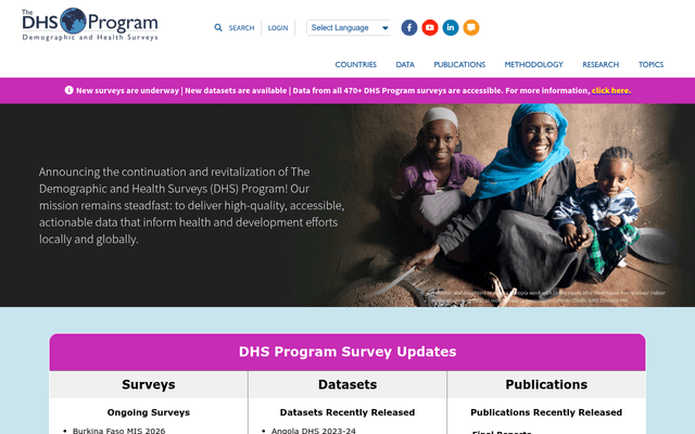 Screenshot of DHS Program API homepage