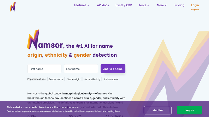 Screenshot of NamSor API v2 homepage