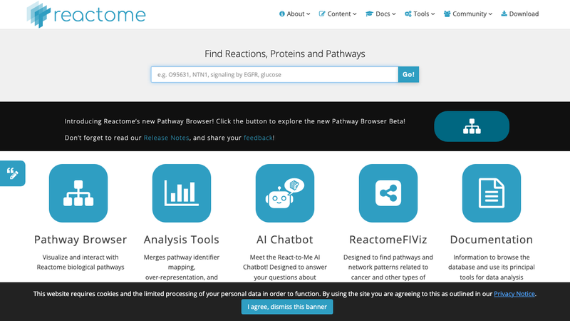 Screenshot of Reactome API homepage